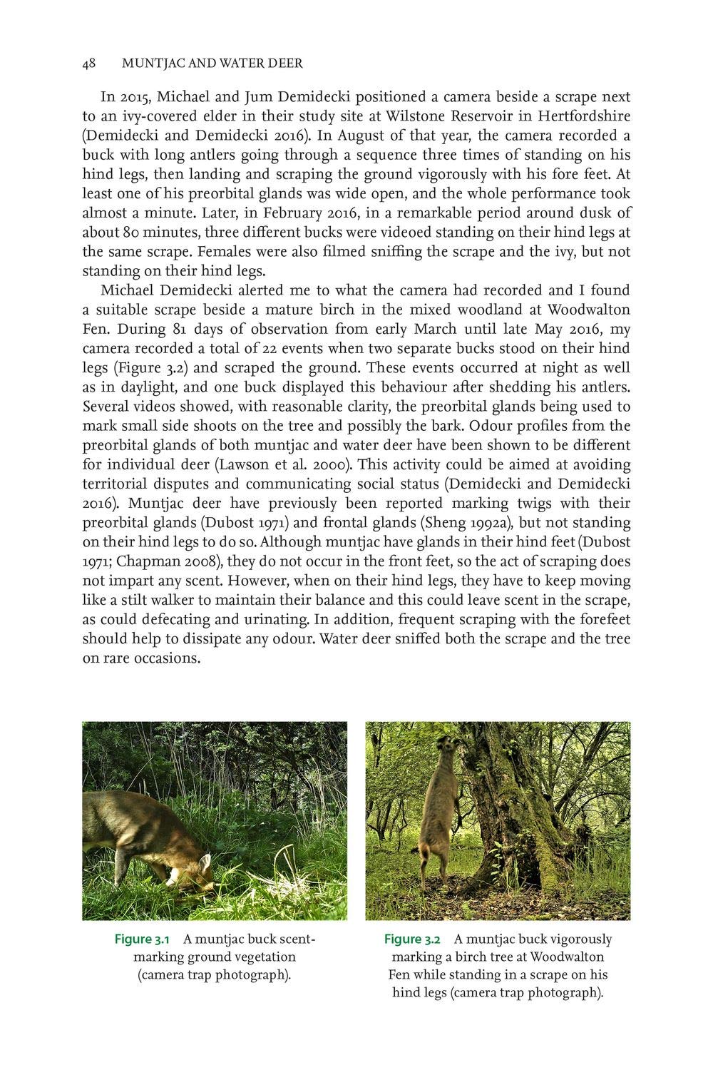 Muntjac and Water Deer: Natural History, Environmental Impact and Management (Pelagic Monographs)