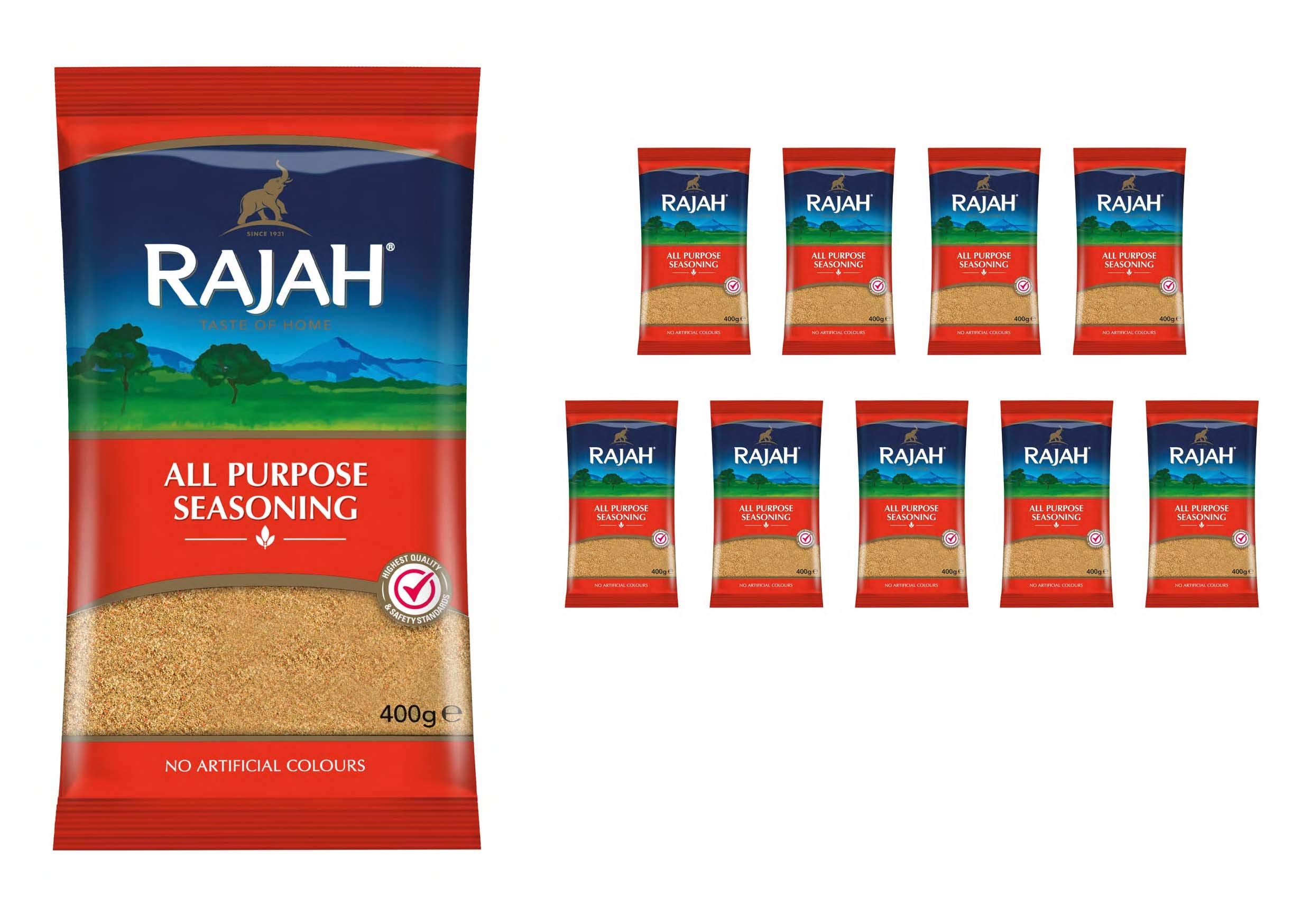 Rajah Spices All Purpose Seasoning | (10 x 400g)
