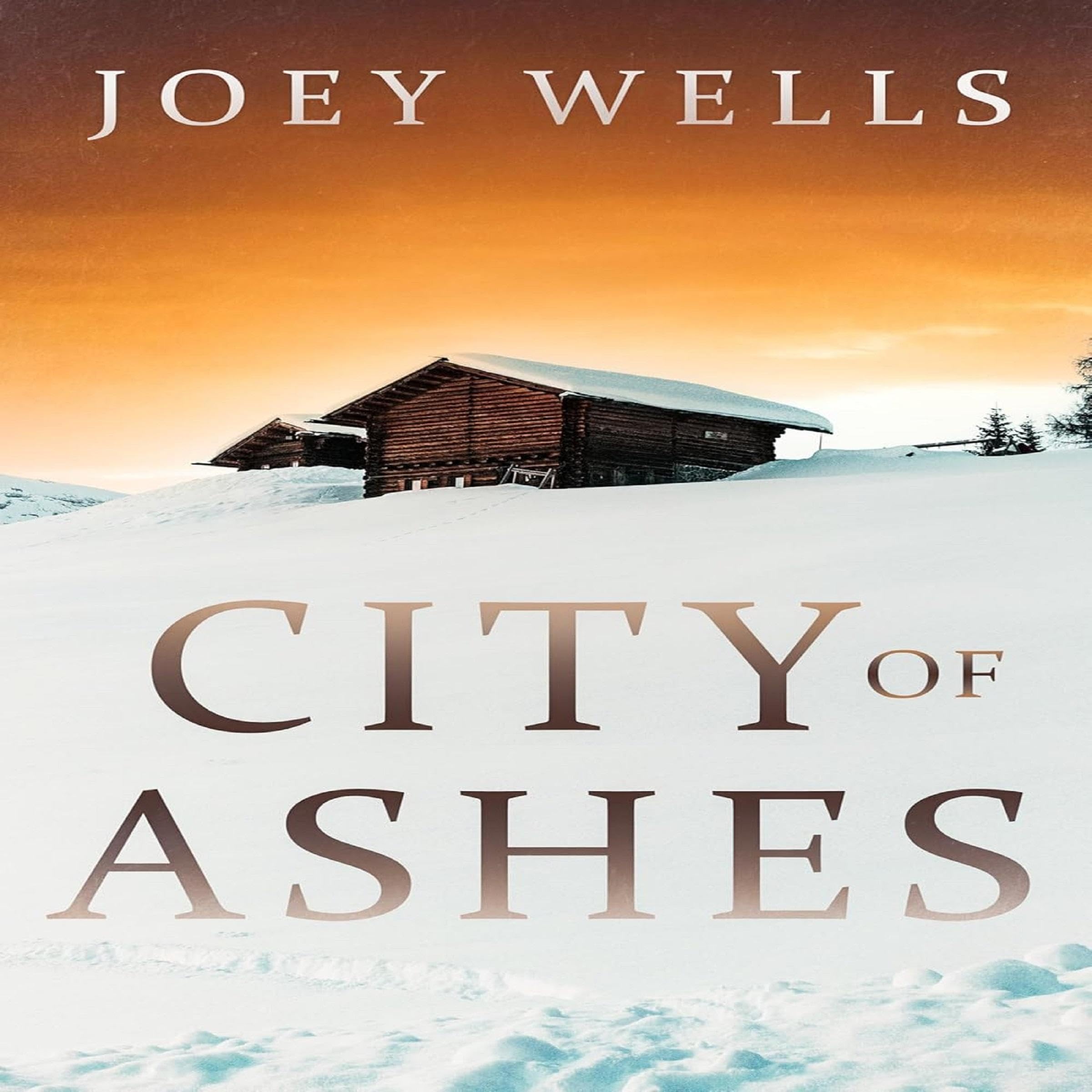 Cover art for City of Ashes