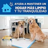 Ver la foto 8