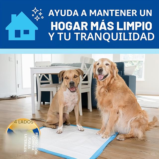Foto 8 de 8 de Four Paws Wee-Wee - Almohadillas para orina Grandes sin Perfume de Rendimiento Superior para Perros…