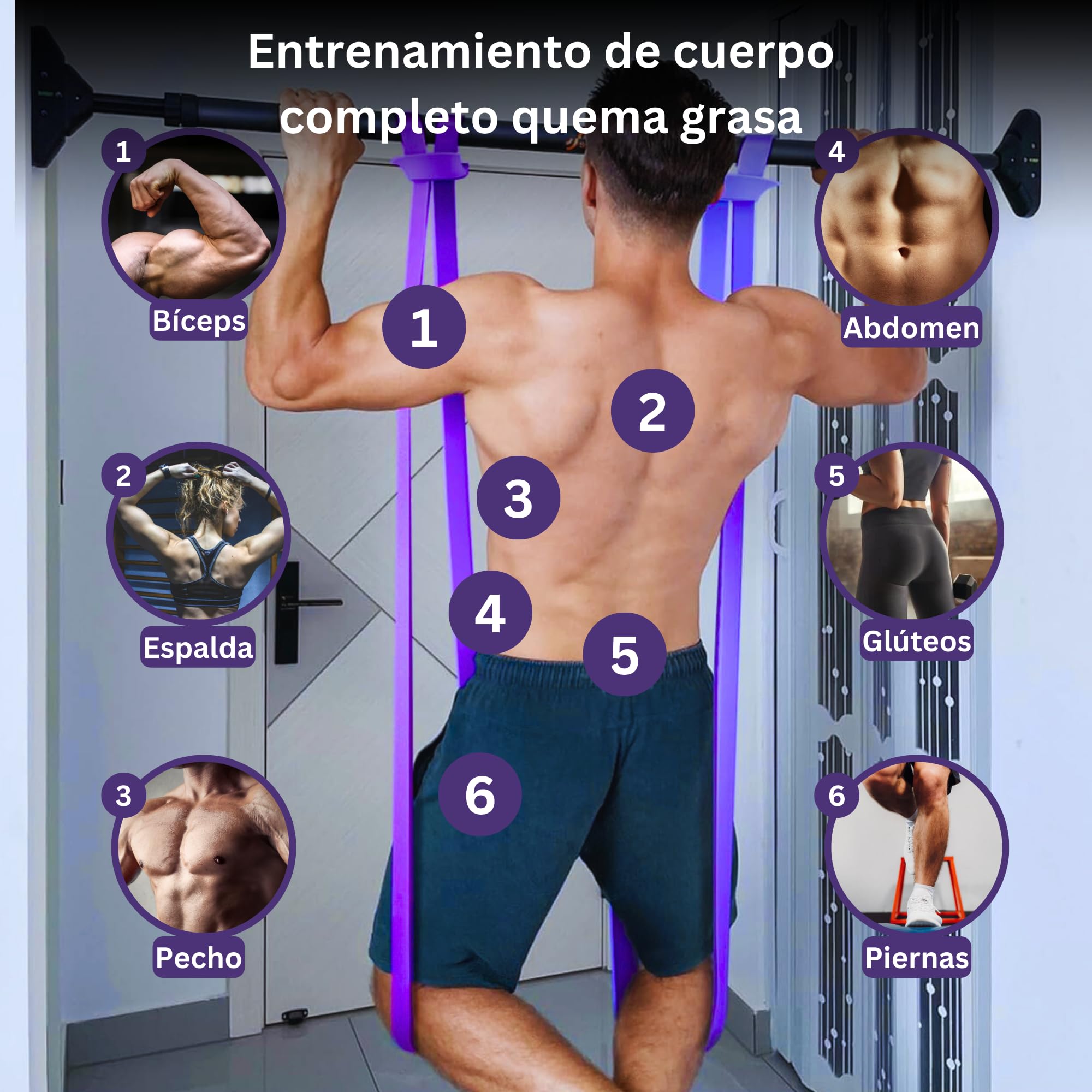 Genérico Gomas Elásticas Musculación, Conjunto de 4 Bandas Elásticas (5kg-38kg), Resistencias para Entrenamiento de Fuerza, Pilates, Yoga, Crossfit