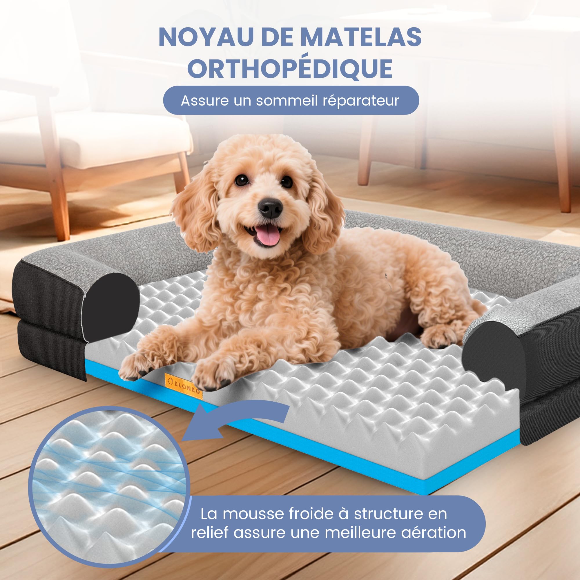 ELONEO lit orthopédique pour Chien Petits Chiens - 76x51x17cm, Panier avec Mousse à mémoire de Forme, Tapis imperméable et Lavable, Coussin et Matelas rembourré, Noir