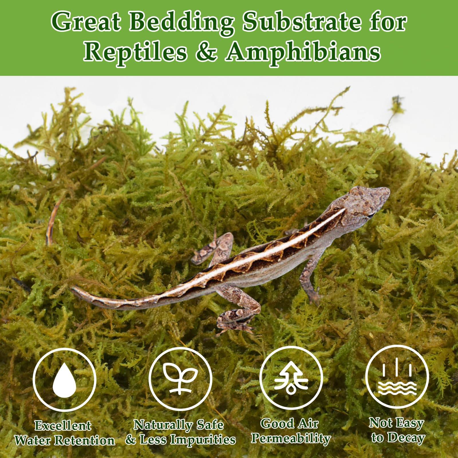 Visual Reference: Snapklik Com 12Oz Natural Sphagnum Moss For Reptiles 18Qt Green