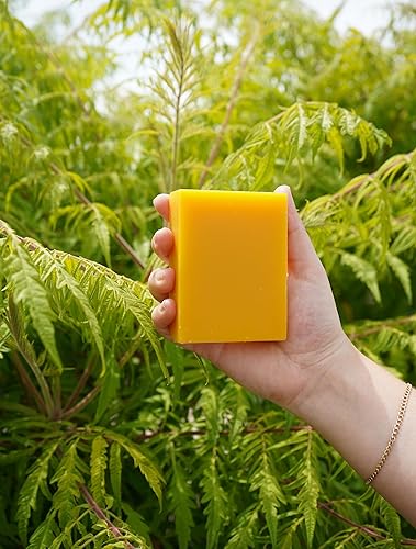 Miniatura 9 de Chagrin Valley Soap & Salve Barra de champú natural orgánico (leche de zanahoria y miel, 1 bar)