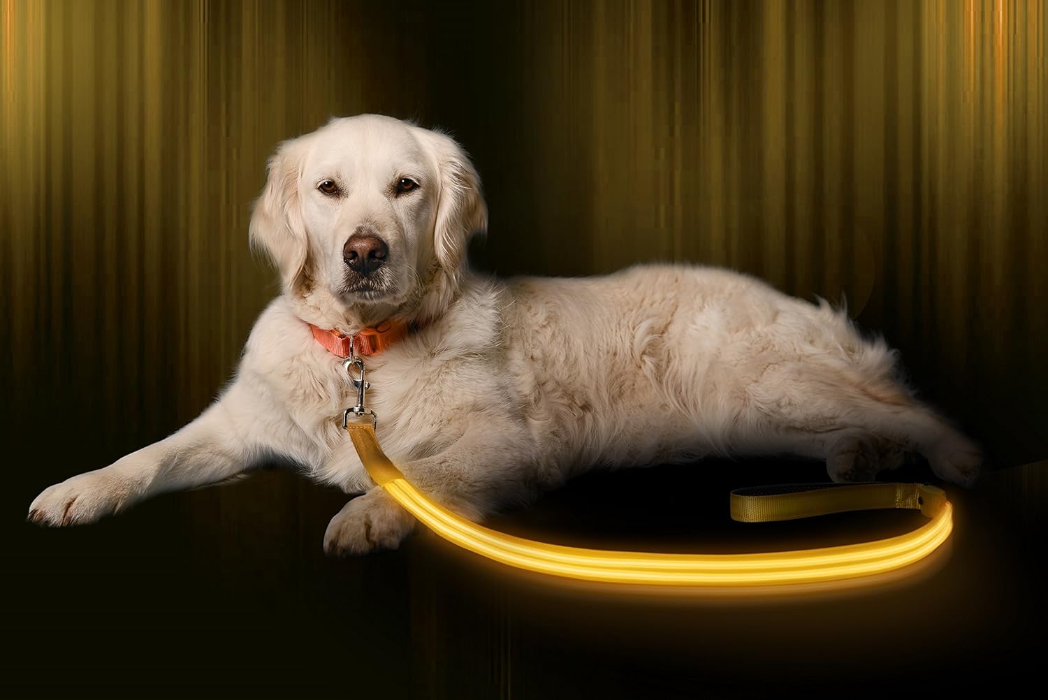 Illumiseen led dog leash Clearance