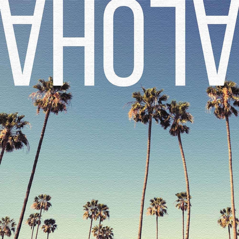 Amazon.co.jp: アートデリ ポスター パネル アロハ 100cm × 100cm 日本