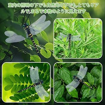 Amazon.co.jp: 天敵で虫除け トンボ 12cm級 オニヤンマ 蜻蛉 虫除け 虫