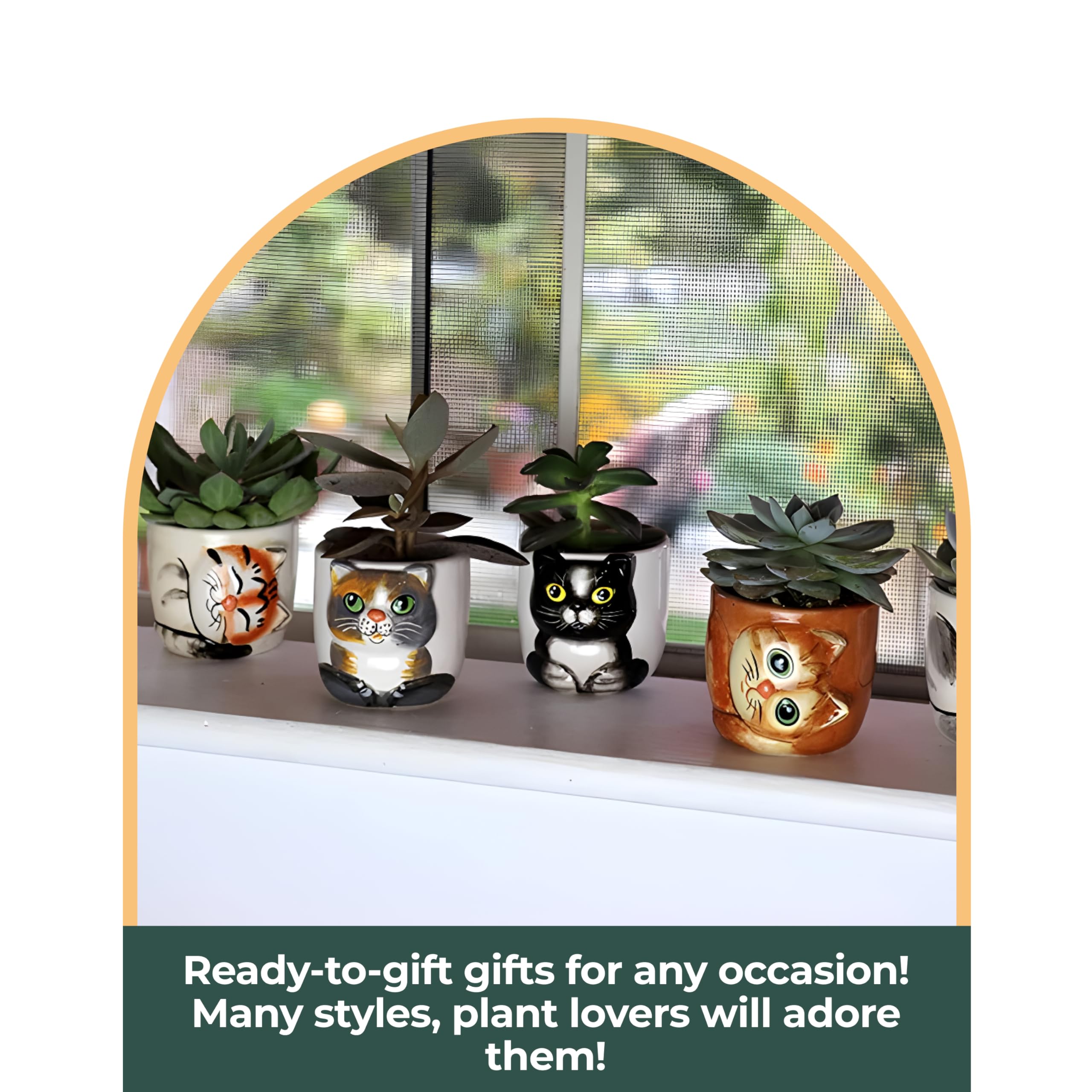 Window Garden Niedlicher Katzen-bertopf  6 Mini-7.6 cm  Sukkulenten-Ktzchen-Tpfe  niedliche Blumentpfe fr Zimmerpflanzen   Katzen-Dekor-Vase fr Kaktus, Kruter, Katzenbesitzer, Geschenk-Set:  Amazon.de: Garten