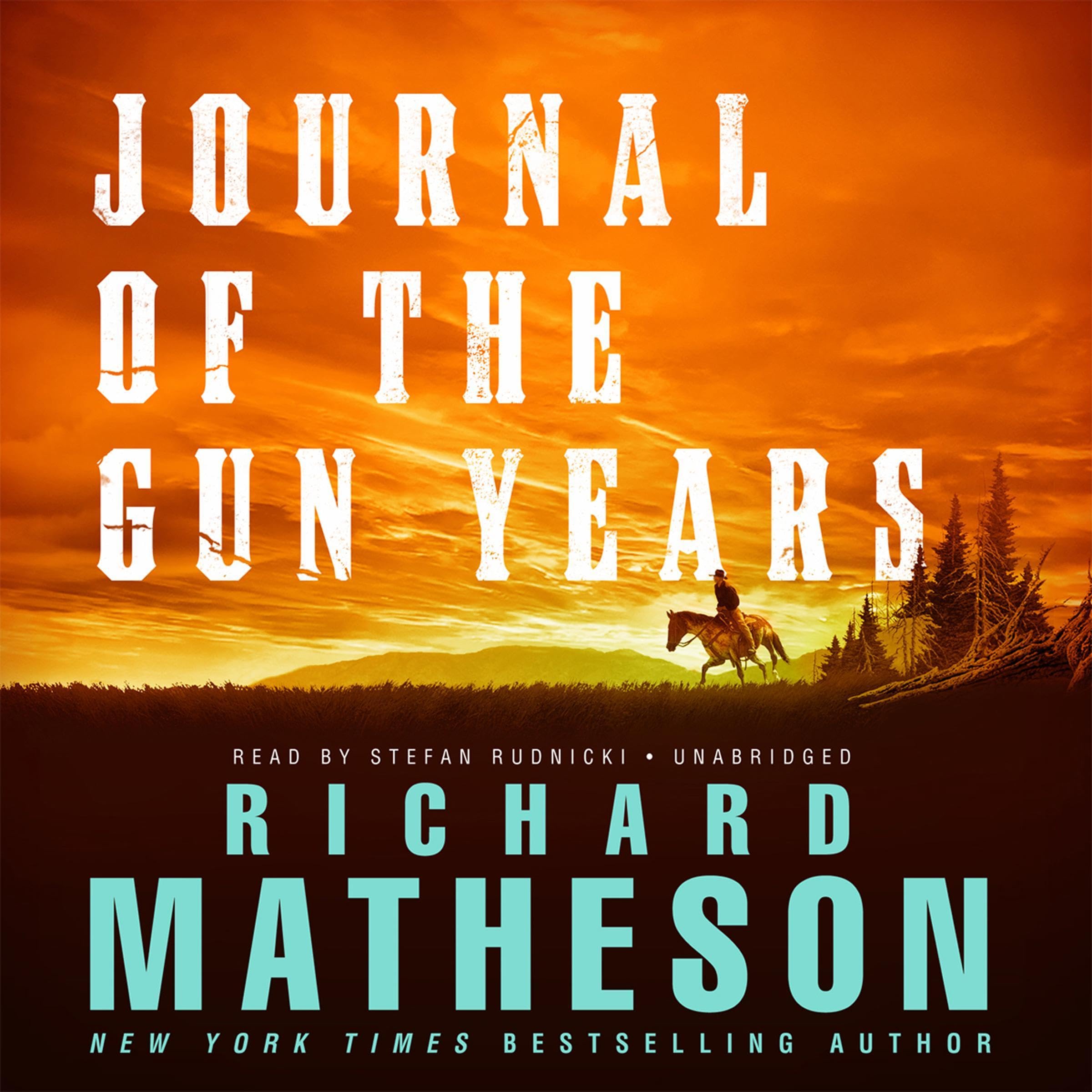 Cover art for Journal of the Gun Years