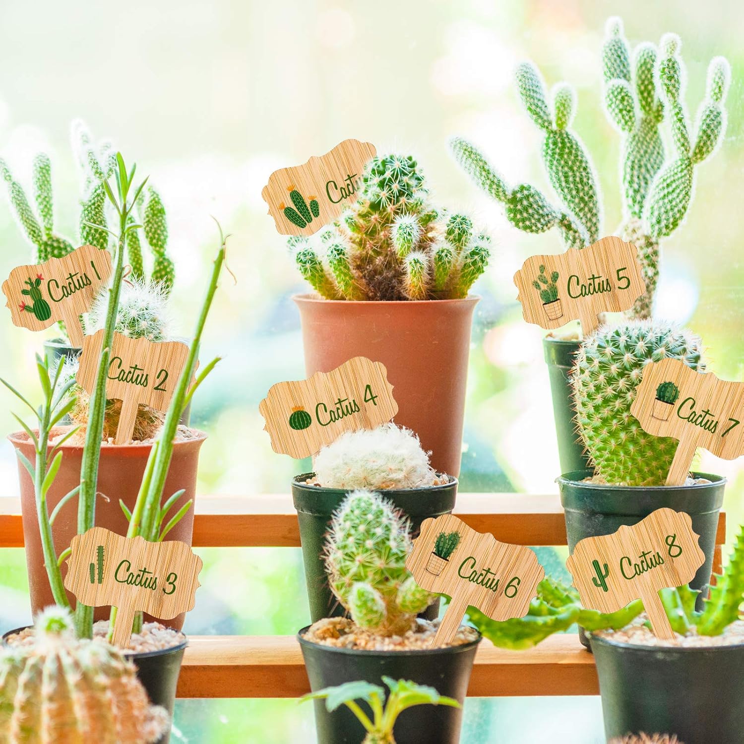 Whaline 60Pcs Bamboo Plant Labels with 1 Marker Pen Eco-Friendly T-Type Wooden Plant Sign Tags Wood Garden Markers Decorative Garden Tags for Seed Potted Herbs Flowers Vegetables (6.5 X 10 cm) - Image 6
