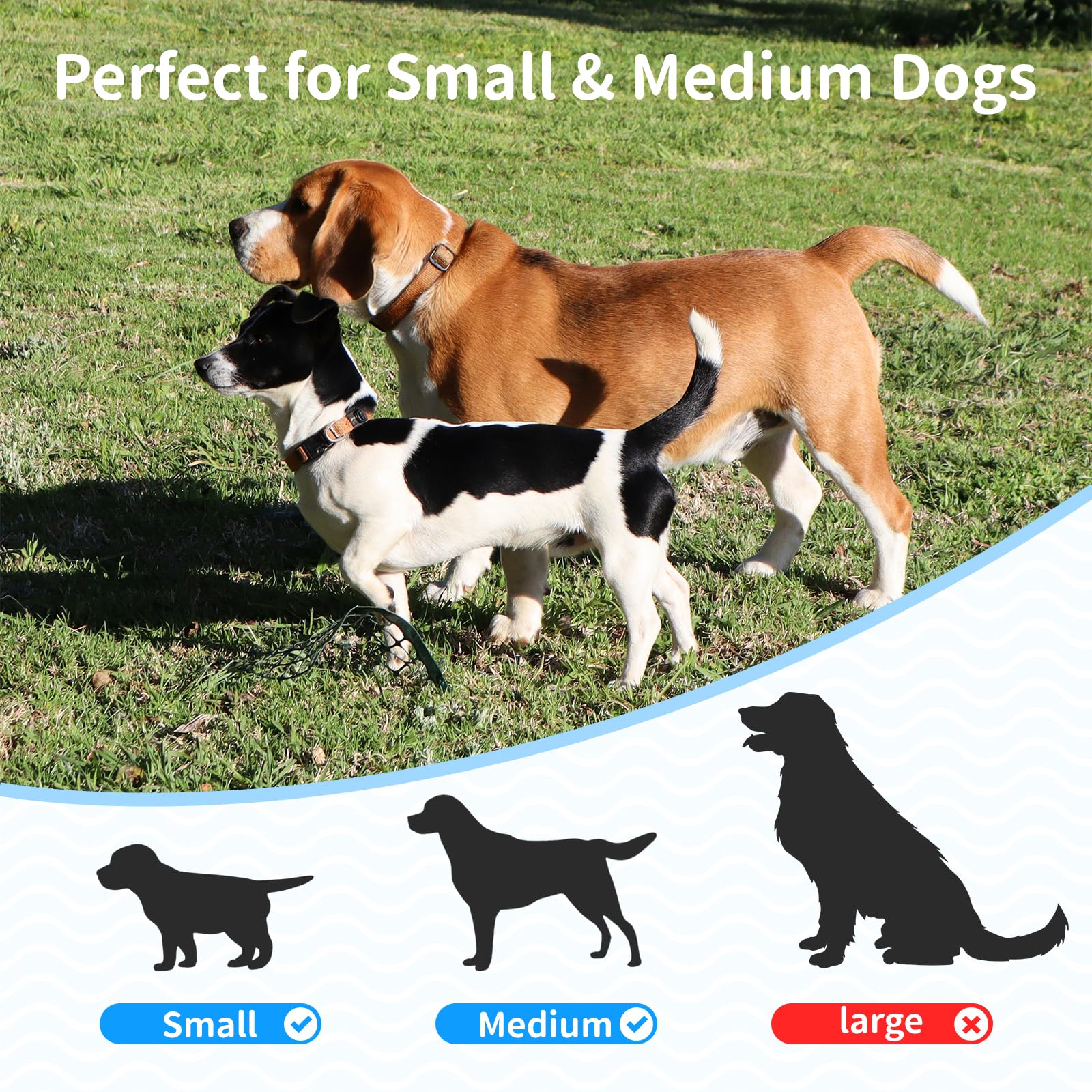 Lancia Palline per Cani, Spara Palline Automatico con 6 Palline, Giocattoli Interattivi per Cani di Piccola Taglia, Macchina Lanciapalle per Cane per Interni ed Esterni, Blu
