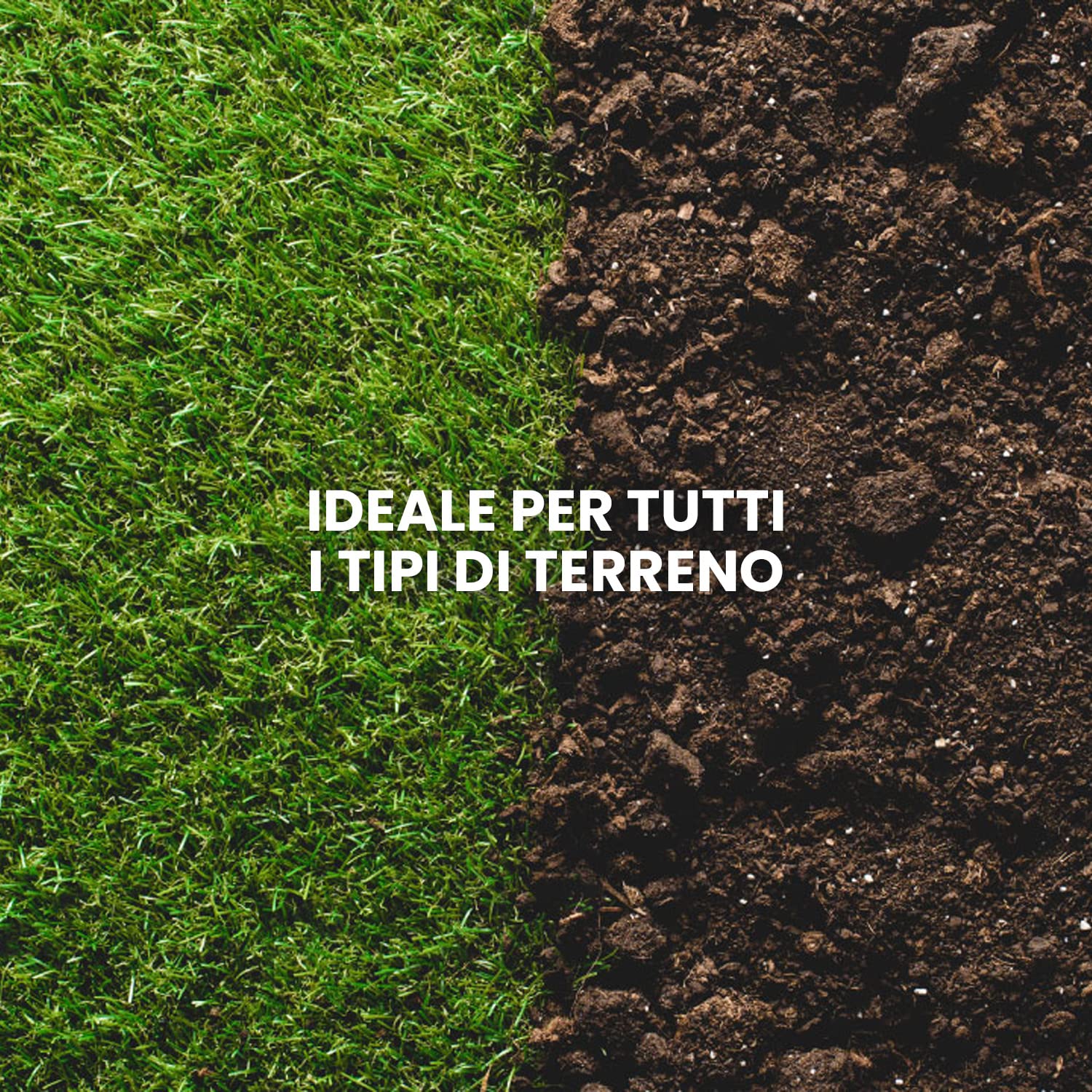 Semi Rigeneranti Prato - Set 2 Confezioni Da 500g, Resistenti Alla Siccit&agrave;, Per Tutti I Terreni