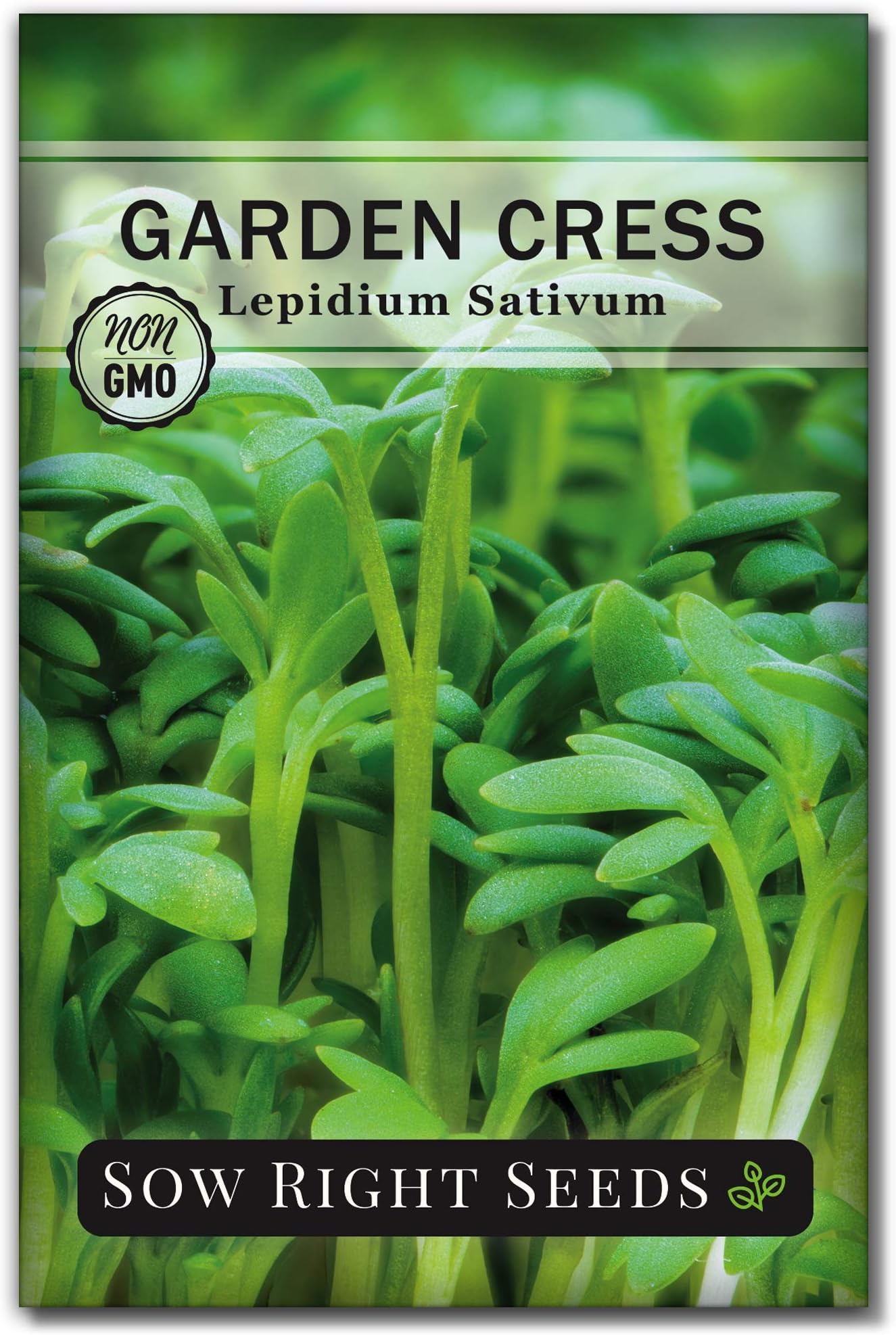 Sow Right Seeds - Garden Cress Seeds for Planting - Non-GMO Heirloom Packet with Instructions to Plant and Grow a Kitchen Herb Garden - Indoors or Outdoors - Edible Leaves and Cute Filler (1)