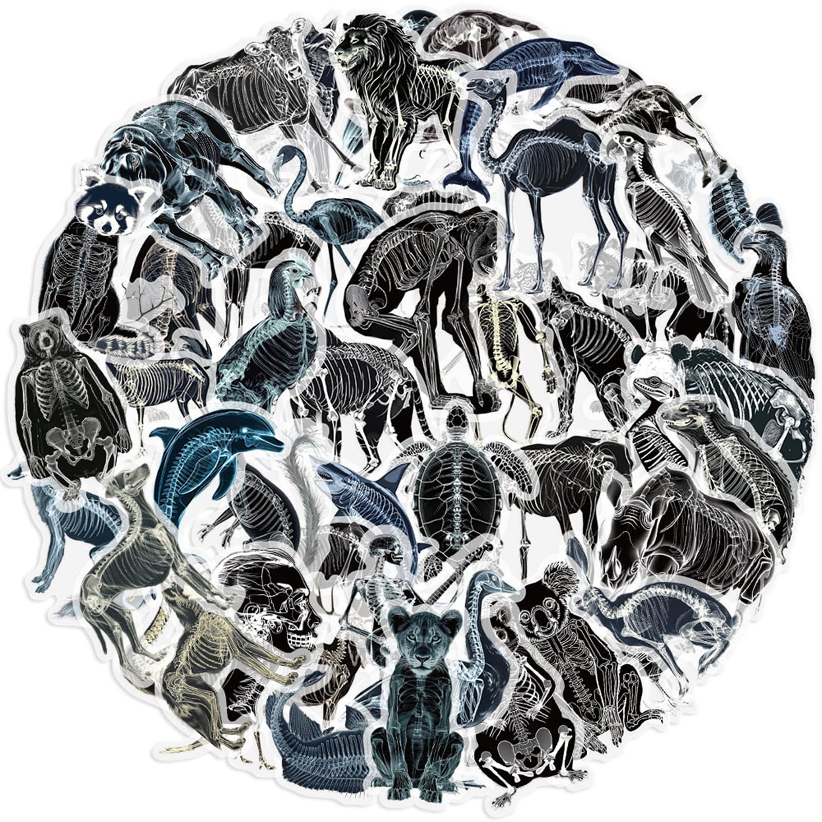 50Pcs X Ray Animal Skeleton Stickers - Skeleton Party Decorations & Favors, Skull Sticker,Halloween Skeleton Gifts for Women, Men Waterproof, Scary