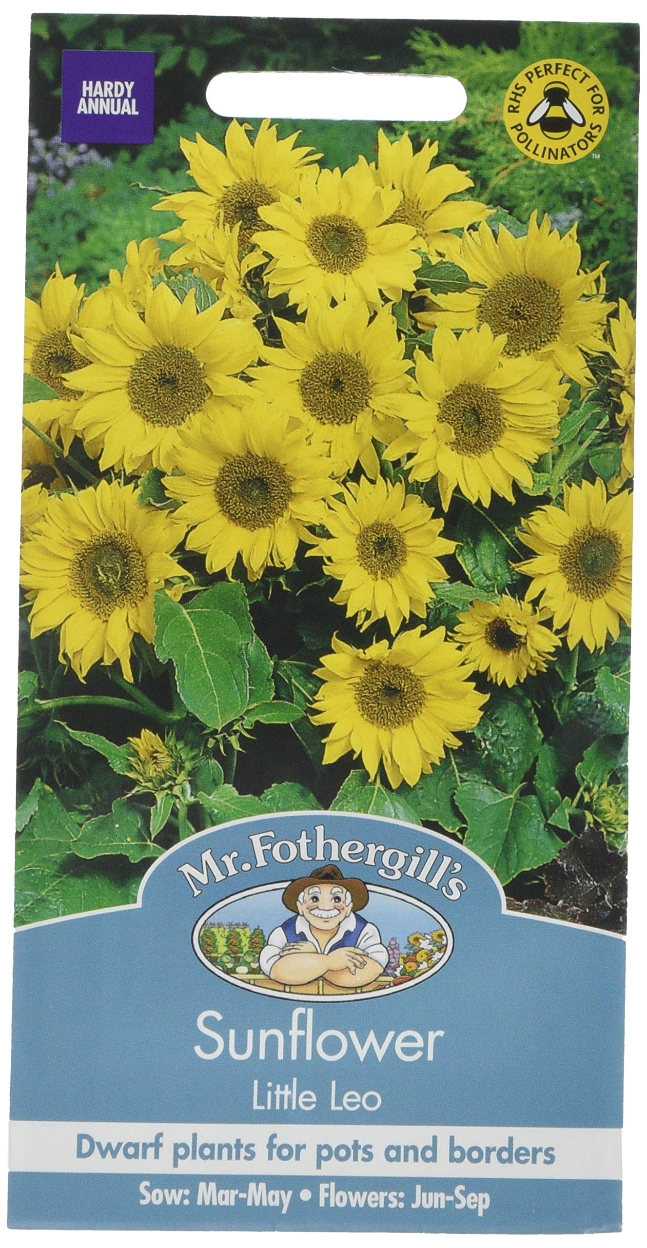 Mr Fothergill's Sunflower Little Leo, Yellow