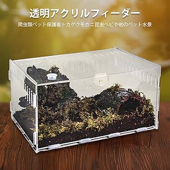 Amazon | 爬虫類 ケージ トカゲ ケージ カナヘビ飼育ケース レプタイル
