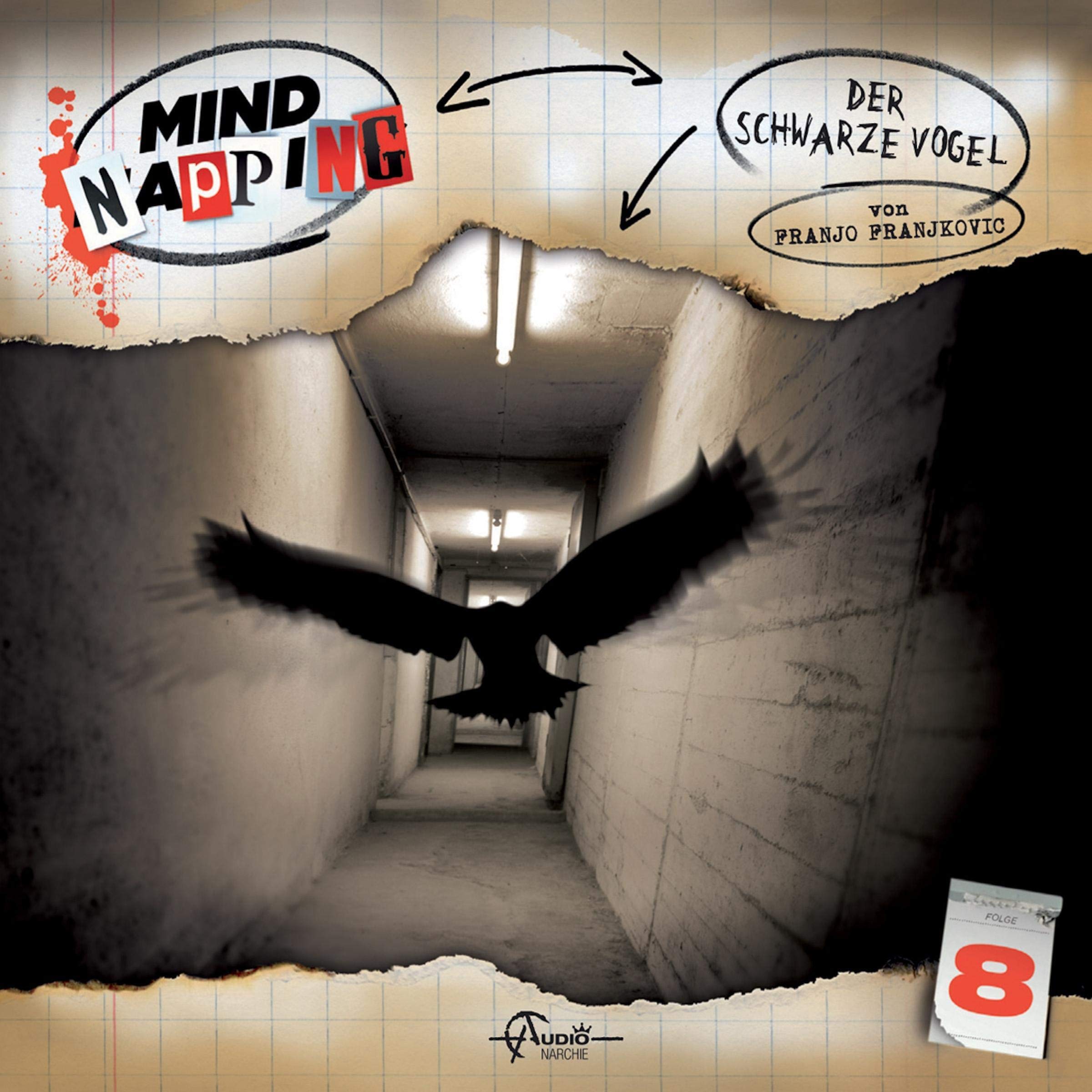 Cover art for Der schwarze Vogel