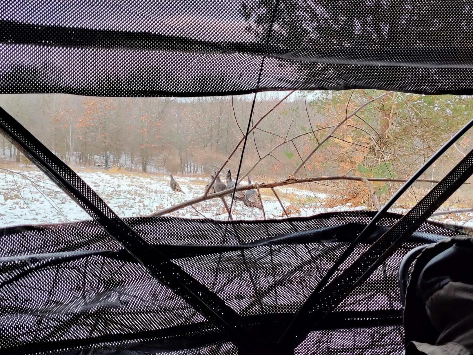 FUNHORUN Blind interior showing mesh windows