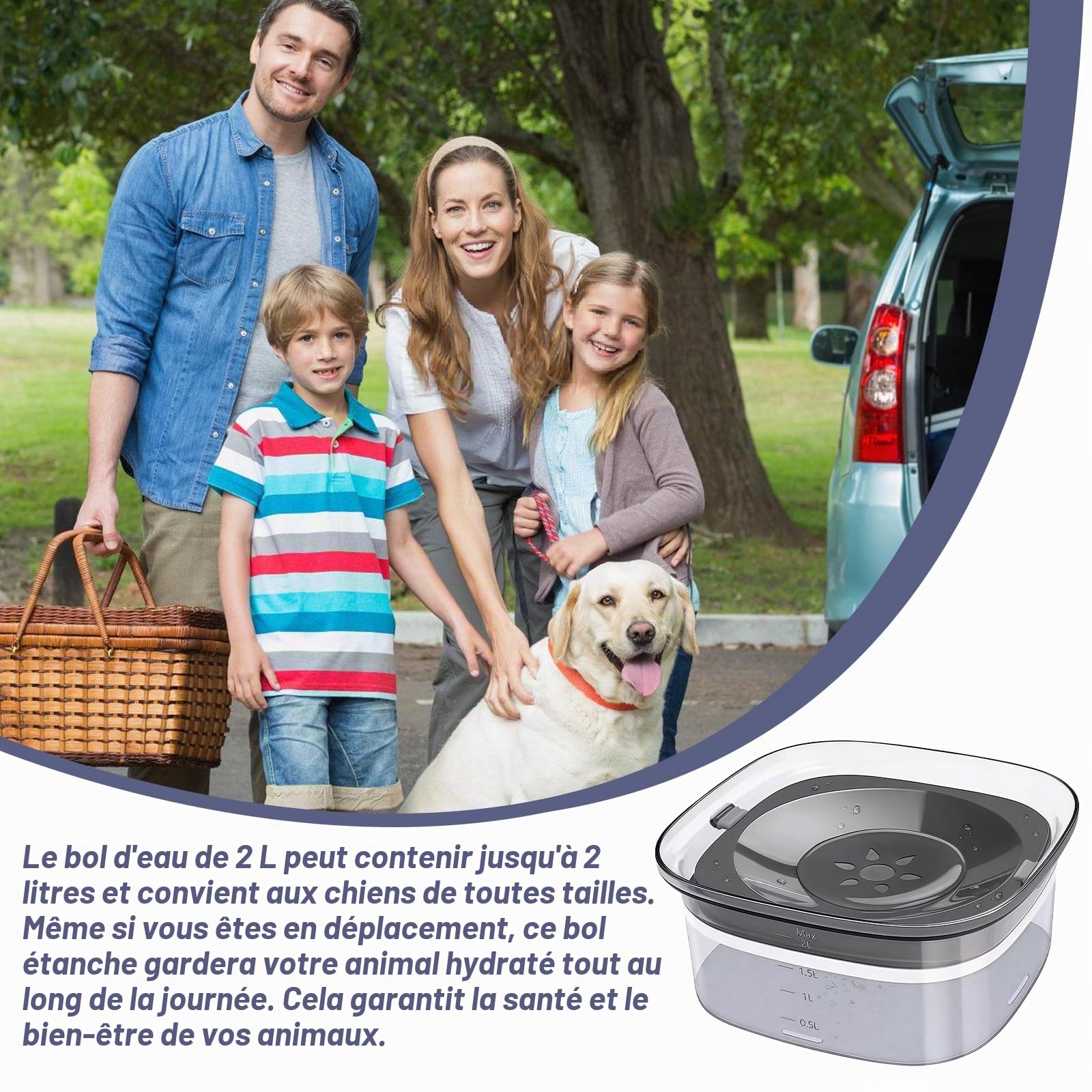 Gamelle d'eau sans renversement pour chiens : LEKEFETO 2L sans bavure, gamelle d'eau pour chien, chats et animaux domestiques, anti-fuite et antidérapante, transparente