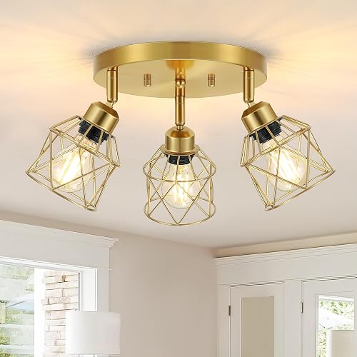 Baocuz 3-Light Brushed Gold Kitchen Light Fixtures