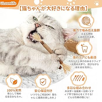 大鎌猫の仔2枚セット 024)《大鎌猫の仔/Scythecat Cub》[J25] 緑R | 日本最大級 MTG