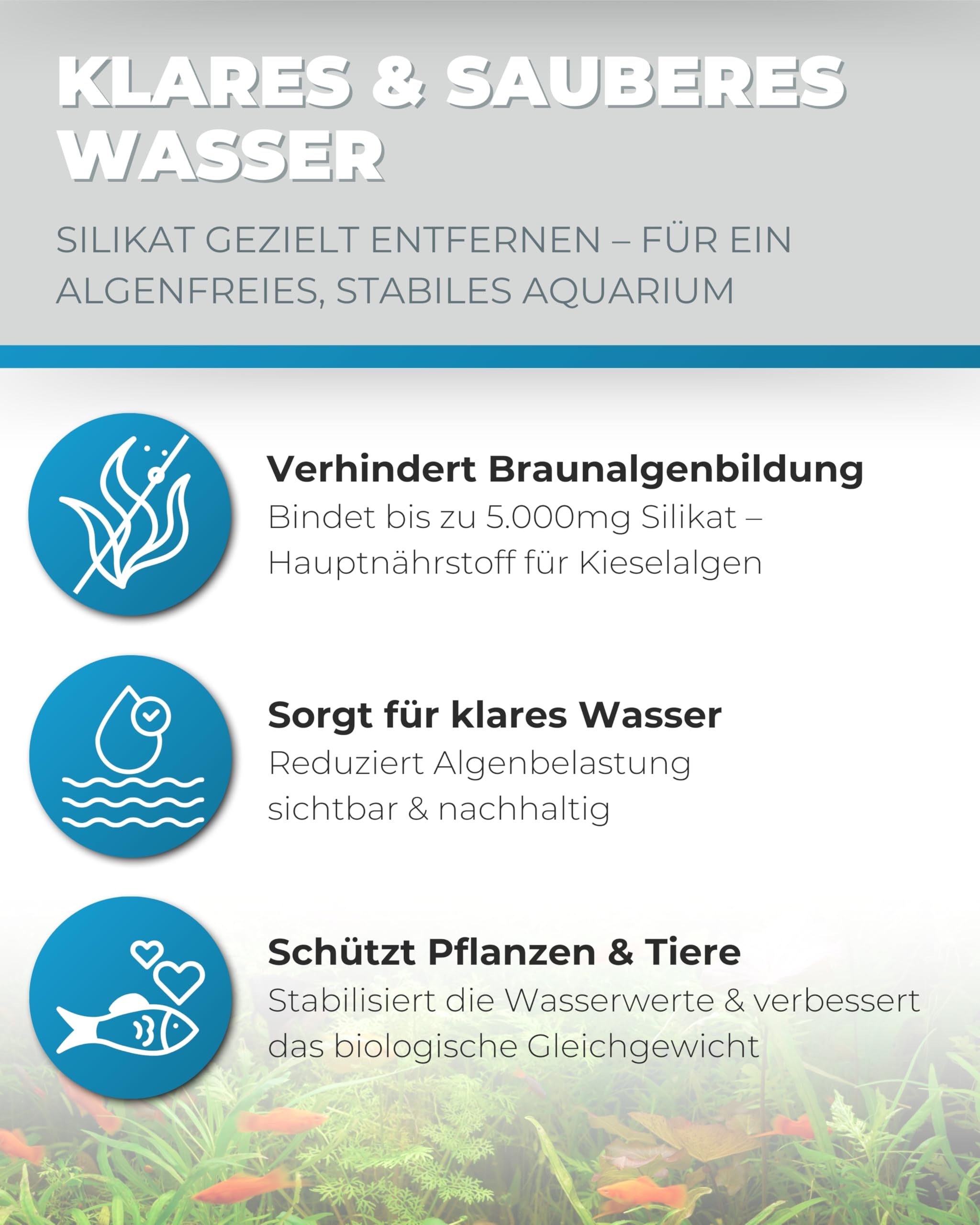 Dupla Silikatfilter - 500 ml Filtervolumen - Inkl. Schlauchanschlüssen für Osmoseanlage - Einfache Installation & wartungsfreundlich - Für EIN gesundes Aquarium - Für Süß-& Meerwasseraquarien