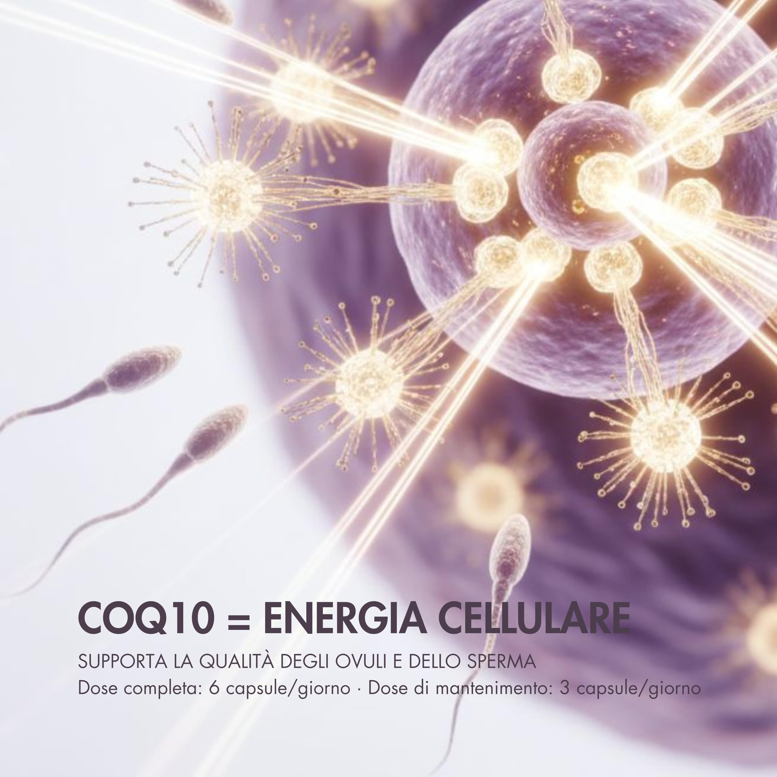 Inositolo 4240mg – Myo Inositolo e D-Chiro – con CoQ10, BioPerine®, Cromo Chromax®, Zinco Albion® TRAACS®, Selenio, Folato, Vitamine B6, B12 e D3 – Equilibrio Ormonale e Energetico Donna e Uomo