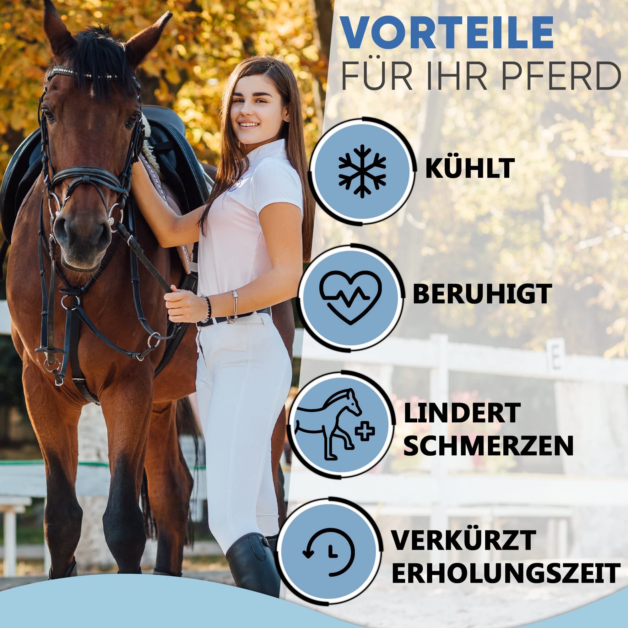 ICEHOF Polainas de refrigeración para caballo - Material agradable - 2 acumuladores de frío extraíbles y vendaje lavable - función protectora - Vendaje de refrigeración para caballos