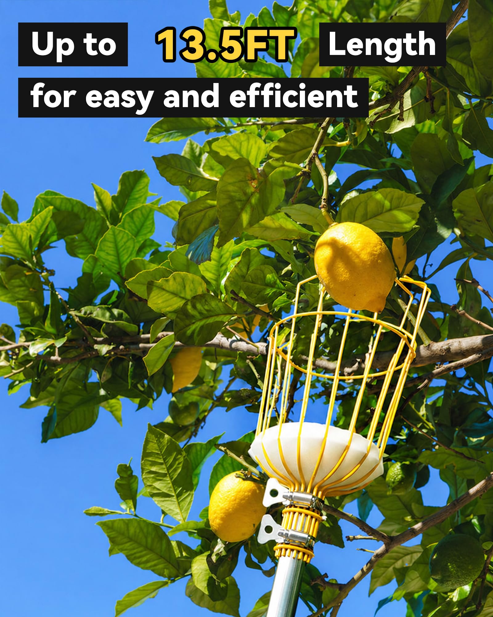 Recolector de frutas de 13.5 pies, herramienta recolectora de manzanas con poste y cesta ajustables, herramienta de agarre de mango de largo alcance, recogedor de frutas de árbol para