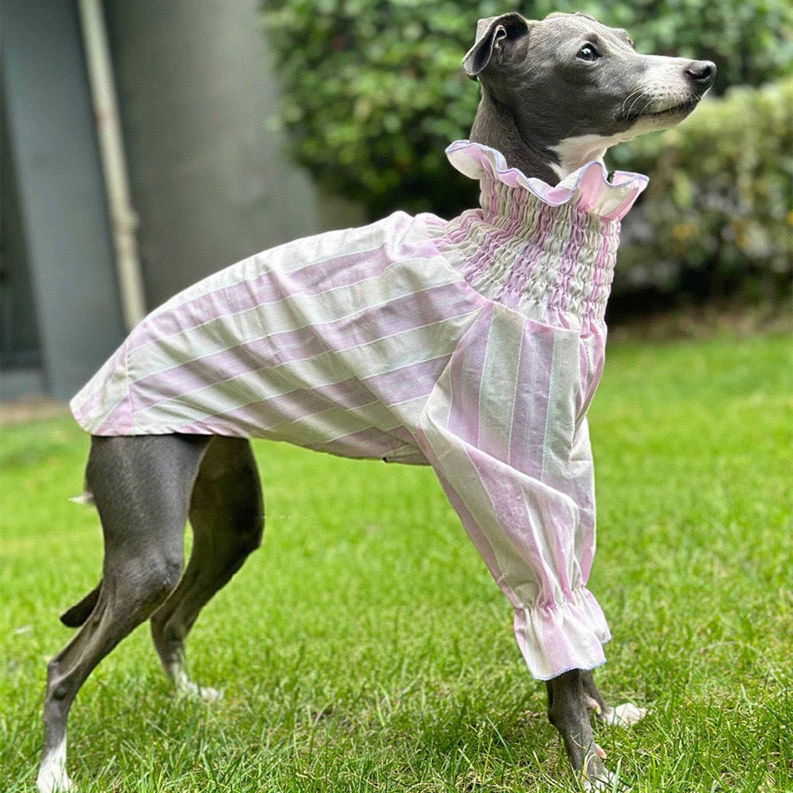 Camisa de Galgo Italiano Camiseta de Perro de niña Linda Jersey de Perro Suave y Fresco Mangas largas Raya Transpirable Ropa de Perro Primavera Verano Pijama de Perro Fiesta de Bodas
