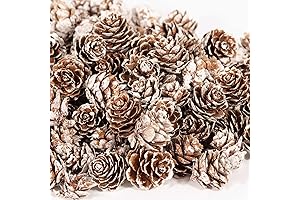 230-Count Snow-Kissed Mini Pine Cones