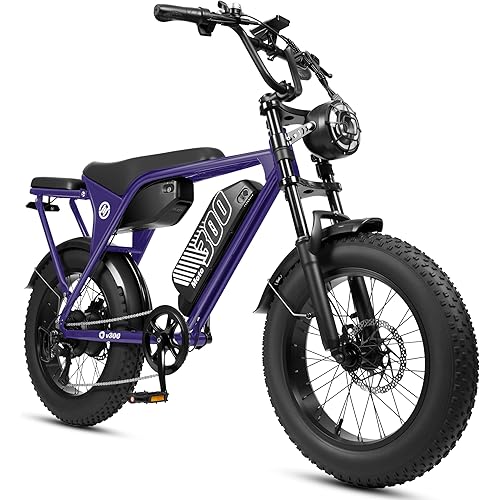 ESKUTE V300 Electric Dirt Bike for Adults & Teens, 20+MPH 1500W Motor, 48V 20.8Ah/41.6Ah Removable Battery,20" Fat Tire Ebike for Commuting City Road Beach Snow Trail Riding, 7-Speed Bicycles