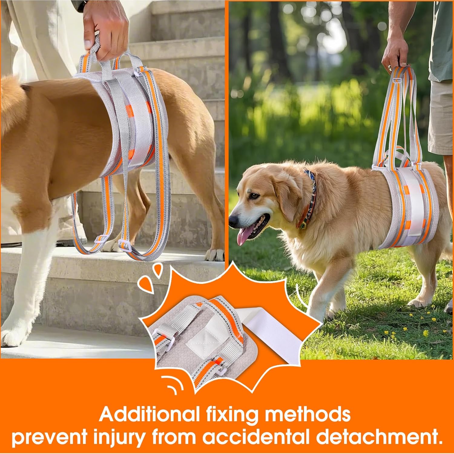 Portable Dog Lift Harness,Dog Sling for Medium Dogs Hind Leg Support,Reinforcement Against bunching,Suitable for 25-70 lbs Dogs with Weak Rear Legs, Helps Senior, Injured, Disabled,After ACL Surgery - Image 2