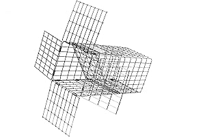 One Way Door Trap for Squirrels - Tomahawk E40 Squirrel Excluder