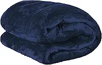 Manta Queen Cobertor Soft Andreza 2,20x2,40m – Ultra Macia, Anti Alérgica e Elegante, Ideal para Dias Frios (Azul)