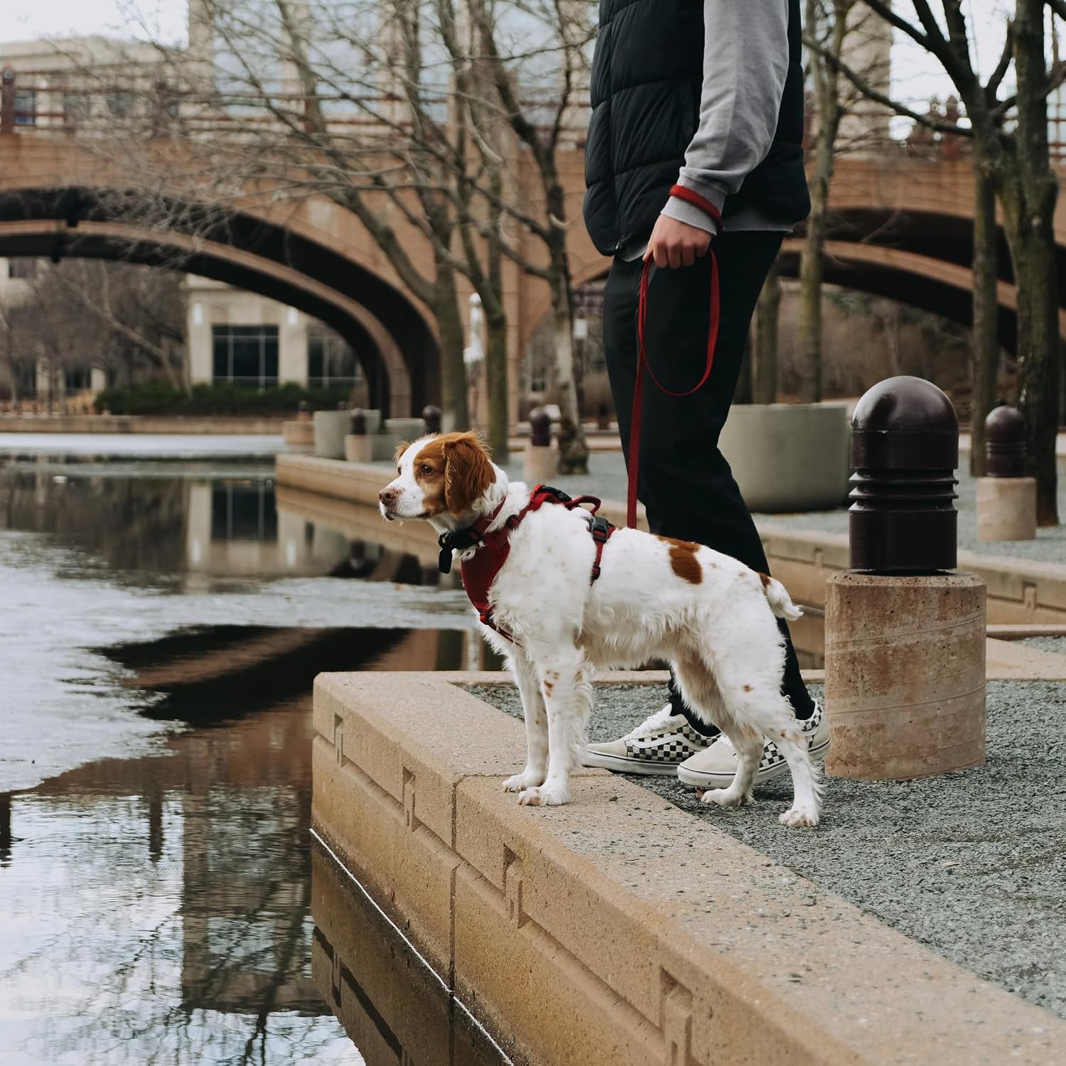 Magnetic Quick Clip: Reflective Leash - Red, Medium - 1" x 6'