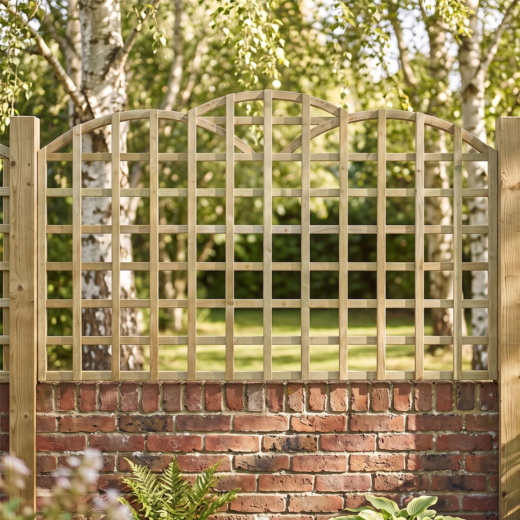 Fence Trellis Topper, 6ft x 3ft Standard Triple Dome Wooden Garden Panel