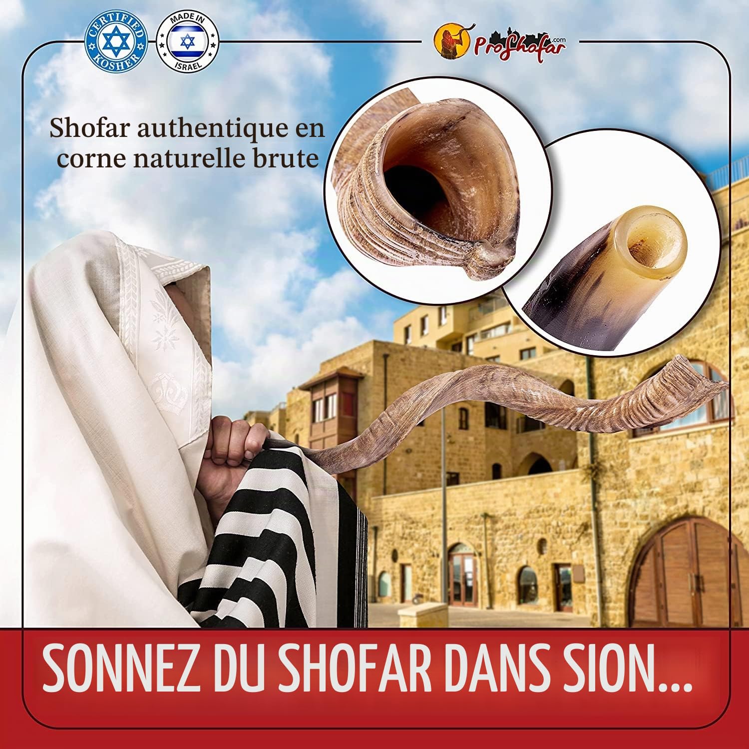 Shofar koudu casher d'Israël, certificat officiel signé kasher, corne de chophar, fabriqué en Israël, avec bonus gratuits