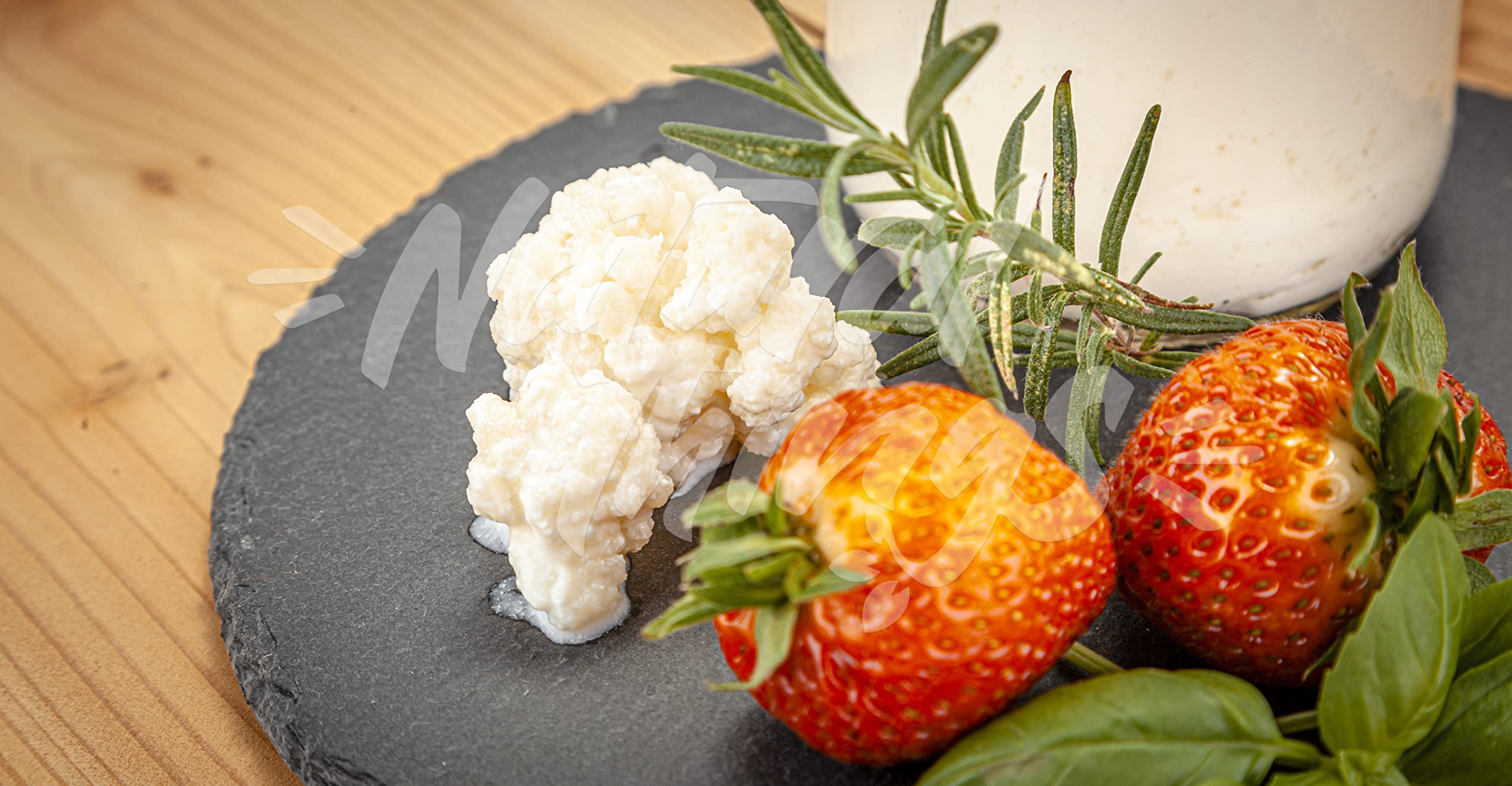 Milchkefir Starterset groß, Kefirknollen aktiv und vital