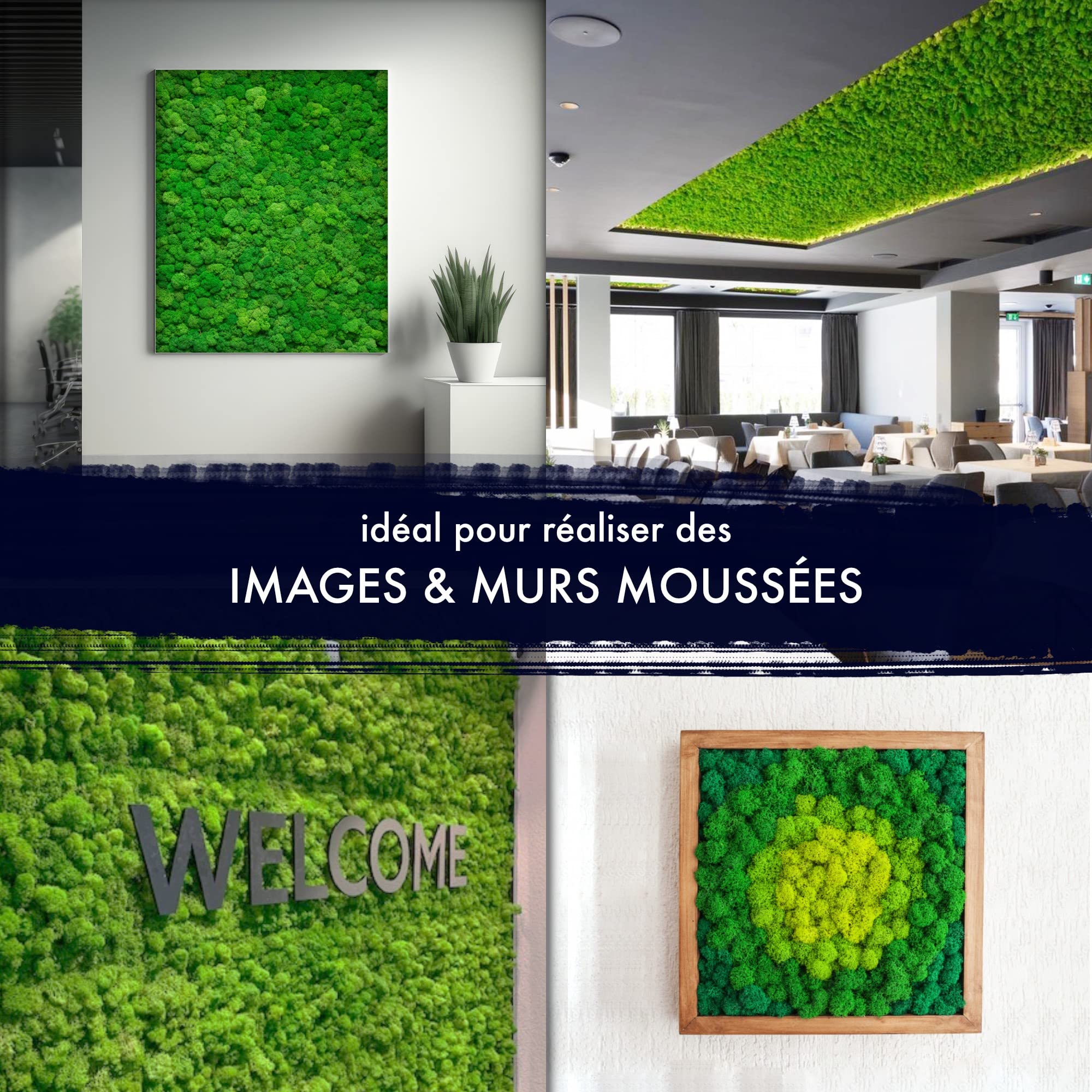GJS Mousse de Renne - 1kg / 500g / 200g, différentes Couleurs - Vraie Mousse Naturelle (Islande) conservée (Vert Feuille, 1kg)