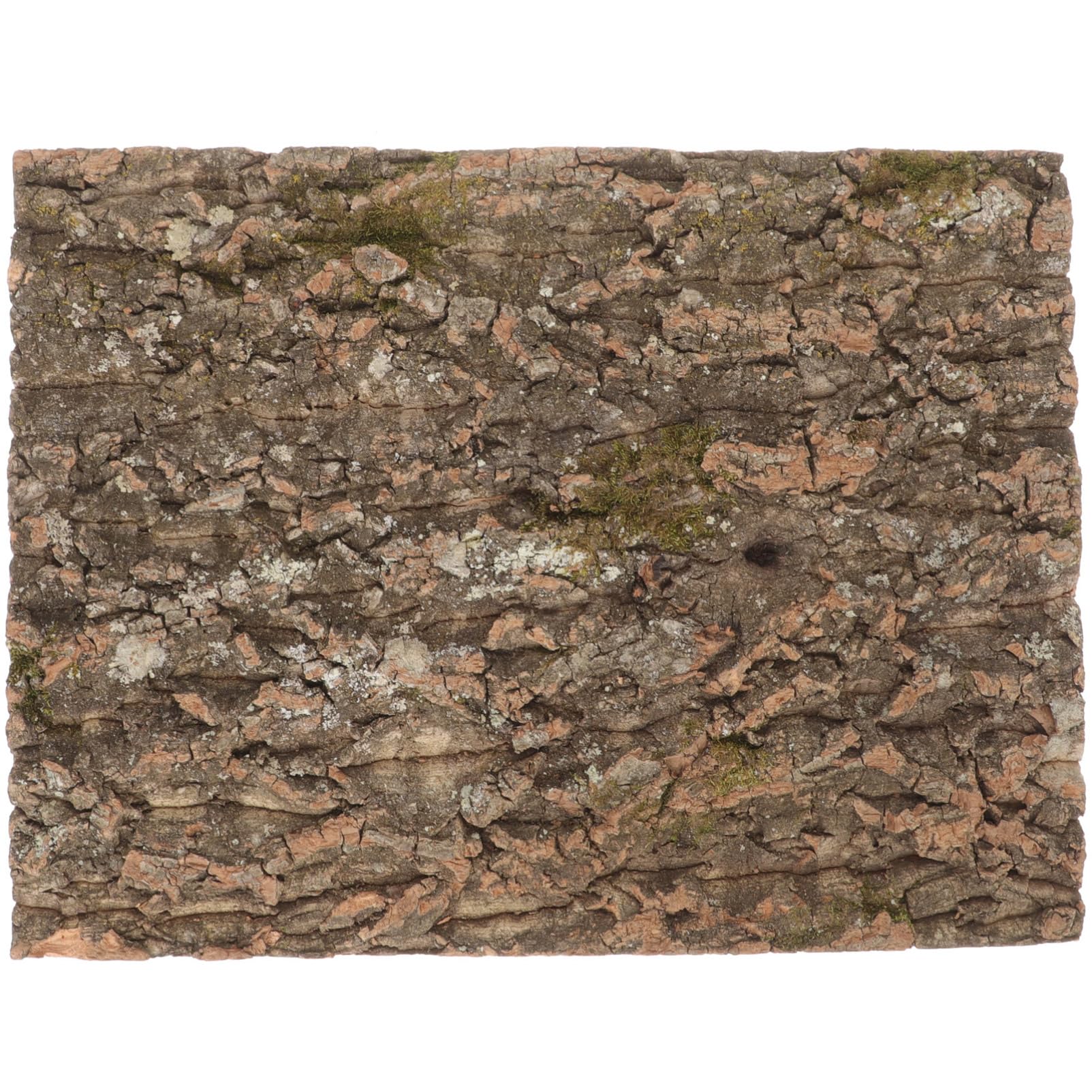 NUOBESTY Terrarium Cork Bark Reptile Terrarium Background Reptile Hide Climbing Bark Natural Climbing Mat Habitat Decor for Spider Lizard Turtle Beared Dragon, 30x40cm