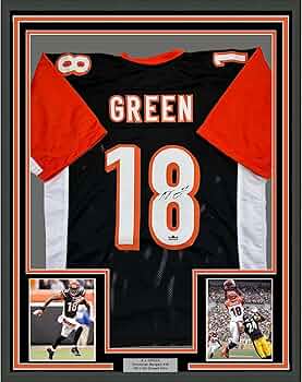 81a0n59vCSL._AC_UF350,