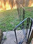 Review Image by AmazonShoppingAddict AmazonShoppingAddict