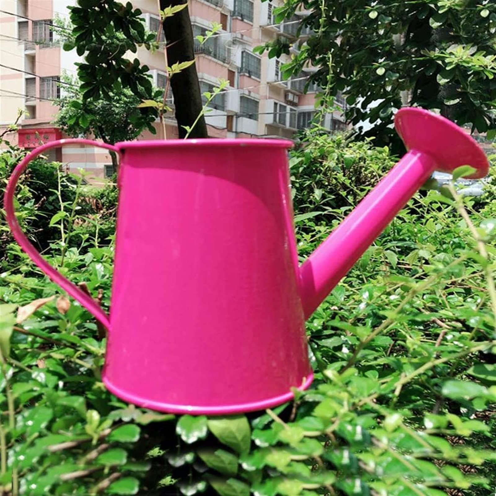 Konewka, konewka ogrodowa Mini żelazna konewka Domowe Bonsai Roślina Narzędzie prysznicowe Ogrodnictwo Czajnik na wodę Spray do nawadniania Ogród Butelka do pielęgnacji kwiatów Konewka do roślin zewnę