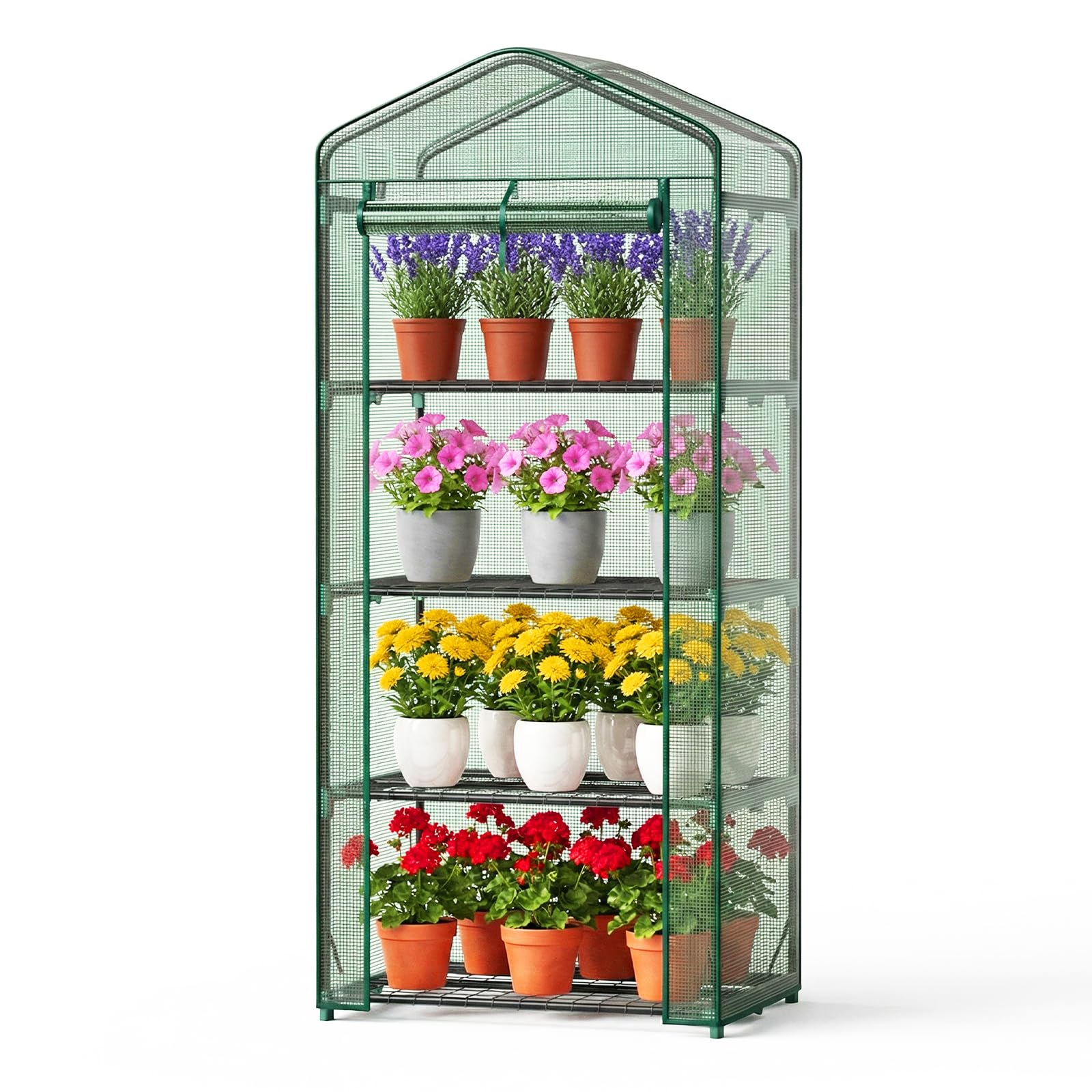 OLIXIS 4-Tier Mini Greenhouse, light green, fully assembled with plants inside