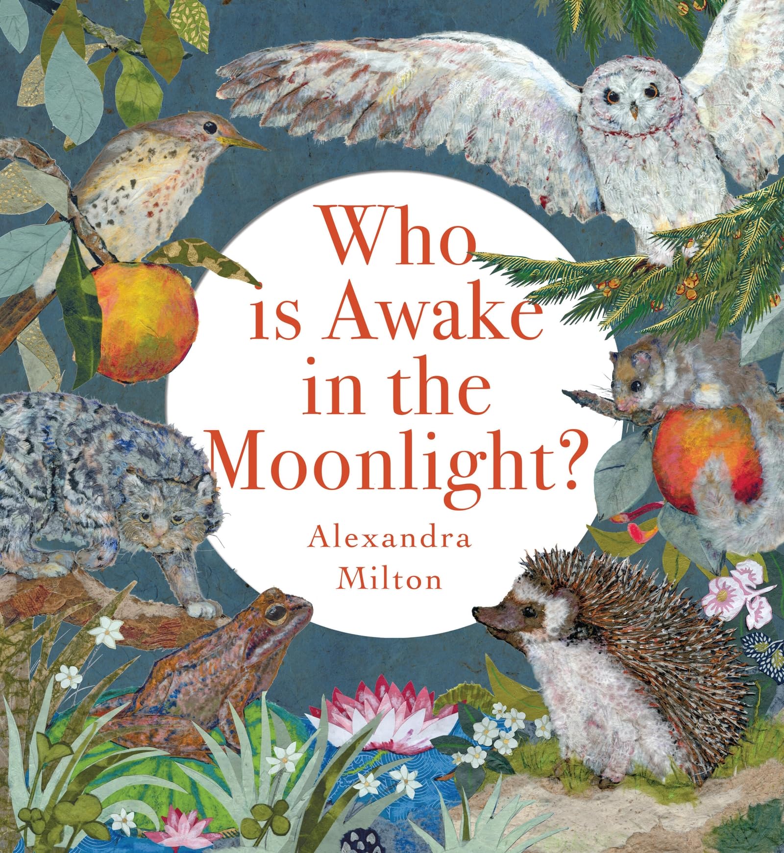 Who Is Awake in the Moonlight?