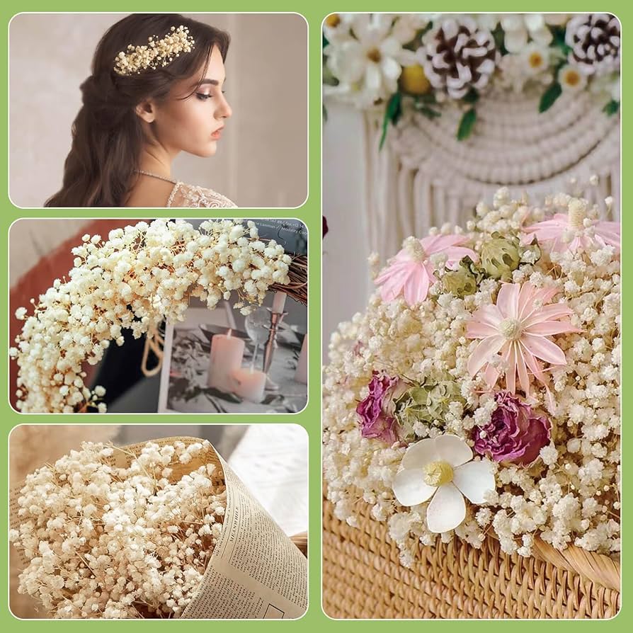 Amazon.com: 2000+ Dried Babys Breath Flowers Bulk - 17