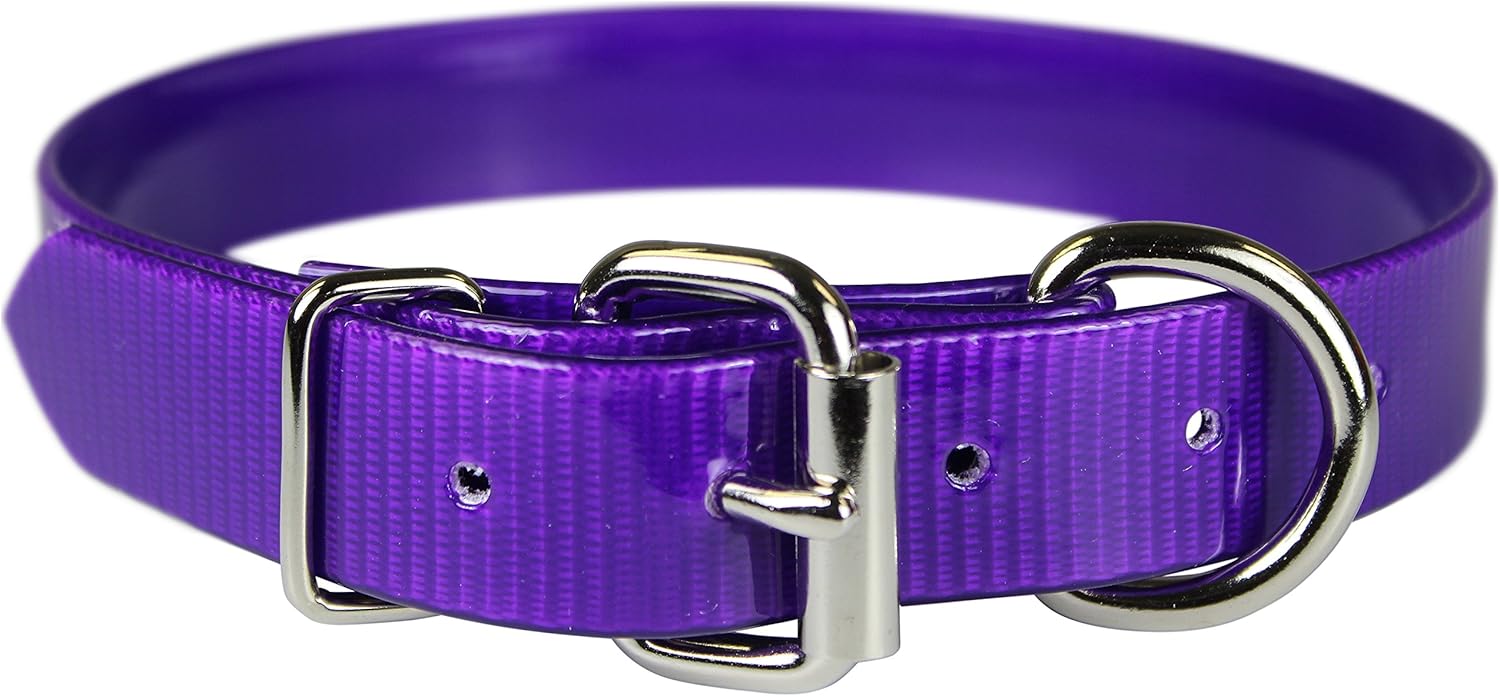 SunGlo Dee in Front Dog Collar, 1 x 27, Duck Blind Camouflage