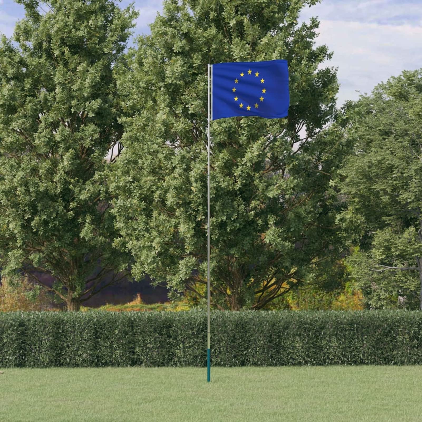 Mástil y bandera de Europa aluminio 5,55 m, LAPOOH Mastil Bandera Exterior, Asta De Bandera